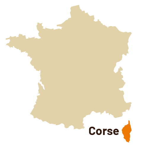 CARTE CORSE