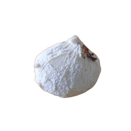 Chèvre Figue à la Rose