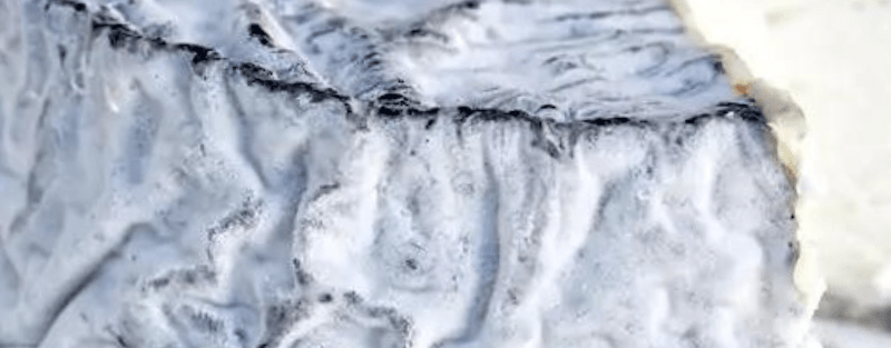 Pâtes molles à croûte fleurie