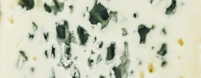 BLOG | Comment Créer un Plateau de Fromage Parfait pour les Fêtes