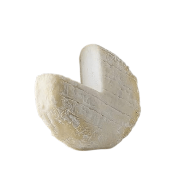 Picodon