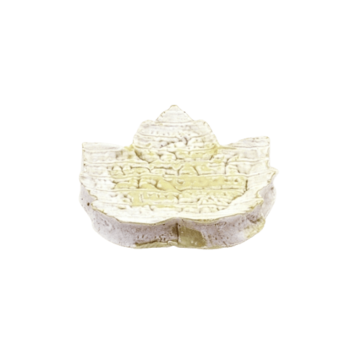 Feuille de Chèvre